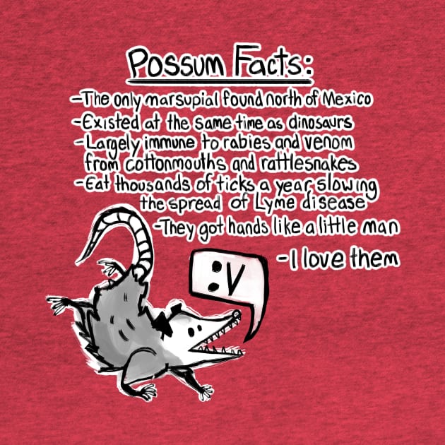 Possum facts by Elliot HT Art